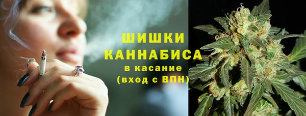 сатива Балабаново