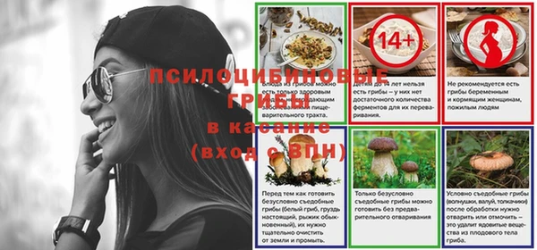 сатива Балабаново