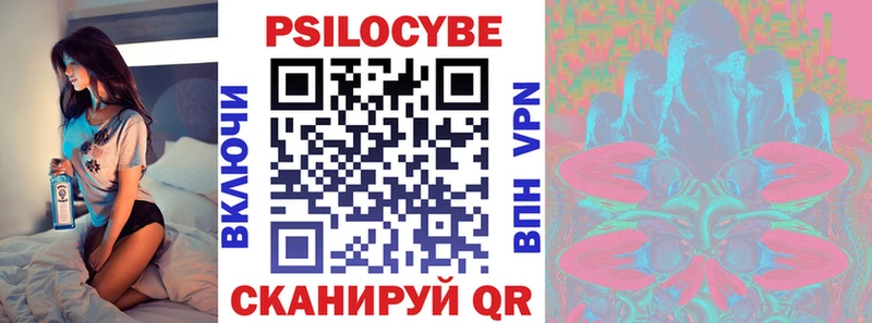 ссылка на мегу как войти даркнет сайт Долгопрудный Галлюциногенные грибы Psilocybe