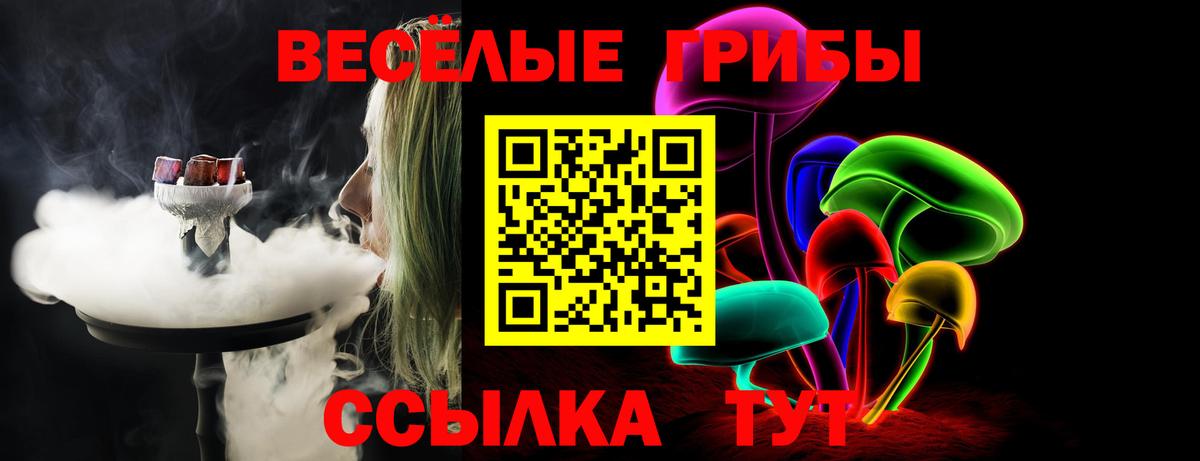 Галлюциногенные грибы мицелий  Псилоцибиновые грибы Magic Shrooms  Вход с VPN  Долгопрудный 